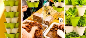 El CEIP Santa Amalia cultiva inclusión y sostenibilidad con su invernadero hidropónico